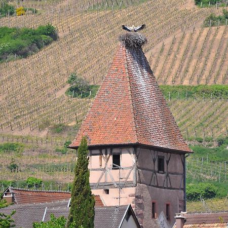 Gite Du Vignoble 阿莫施威尔 外观 照片