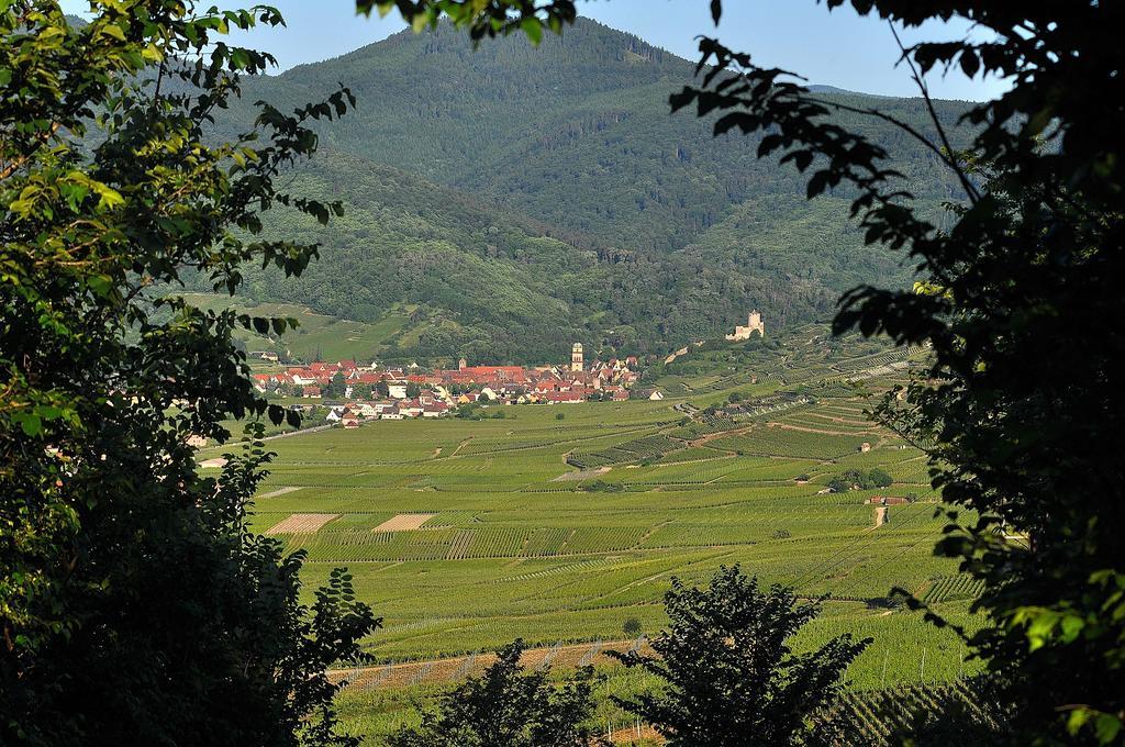Gite Du Vignoble 阿莫施威尔 外观 照片